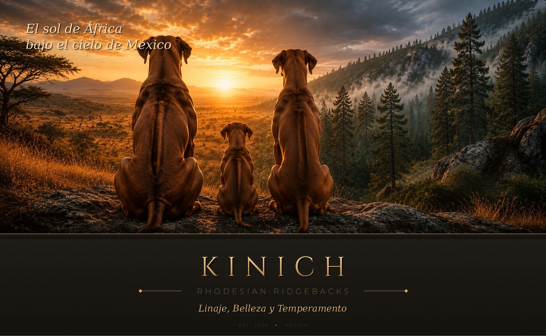 Kinich Rhodesian Ridgebacks